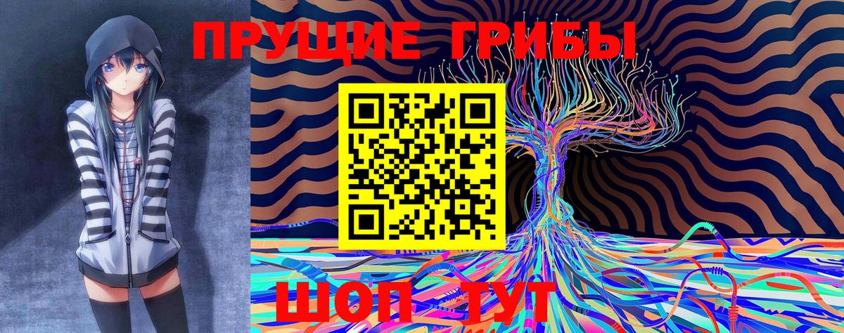 Галлюциногенные грибы Psilocybe Барабинск
