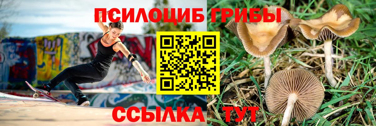 Галлюциногенные грибы Cubensis  Вход с VPN  продажа наркотиков  Барабинск 